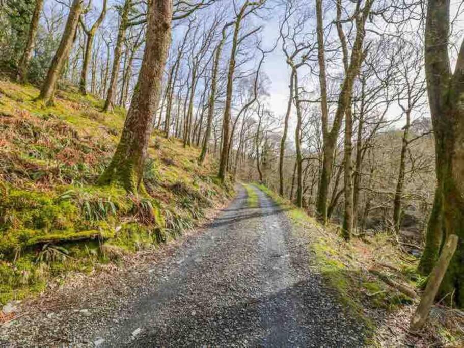 Pandy Farmhouse - Panoramic Mountain Views Within Snowdonia'S National Park - 4X4 Recommended Dolgellau Kültér fotó